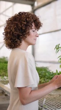 Çili biberi yetiştiren, yaprakları dikkatlice inceleyen, taze ürün kokusu alan ve büyüme sürecinde mutlulukla gülümseyen bir sera çalışanı. Dikey