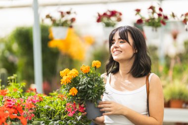 Mutlu genç bir kadın hayat dolu bir serada ya da hareketli bir bahçe merkezinde eğlenirken canlı çiçekleri seçiyor.