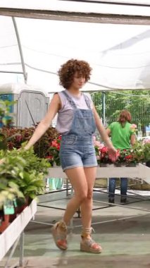 Genç bahçıvan kadın, seranın iç kısımlarında geziniyor, güneşli bir günde kot pantolon giyerken profesyonel ve neşeli davranışlı gelişen bitkileri dikkatlice inceliyor. Dikey