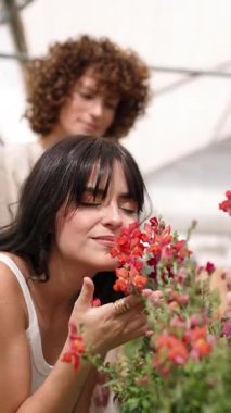 Yetenekli kadın sera çalışanı dikkatli bir şekilde canlı aslanağzı çiçeklerini kokluyor, küçük çocuk odasındaki ekme işlemleri sırasında güzel kokulu çiçeklerin tadını çıkarıyor. Dikey