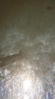 Oyuncu boksör köpeği okyanustan çubuk topluyor, serinletici sıçramalar yaratıyor ve güneşli plaj gününün tadını çıkarıyor.