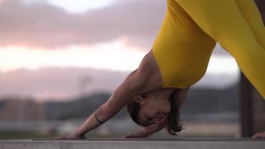 Deneyimli yoga ustası. Altın saat günbatımı aydınlatması sırasında üç bacaklı köpek varyasyonları yapıyor.