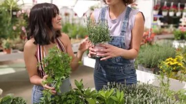 Mutlu genç kadınlar kapalı bahçe merkezinde birlikte ot seçiyorlar.