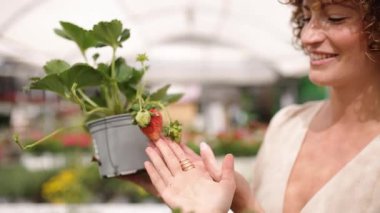 Genç bir kadın serada taze çilek bitkisine dokunuyor.