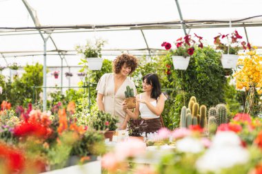 Serada gülümseyen genç kadınlar birlikte kaktüs saksısı seçerken canlı çiçekler ve kapalı alandaki bitkilerle çevrili.