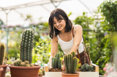 Terracotta tencerelerinde kaktüs düzenleyen, bitkileri besleyen ve bahçe ve botanik sanatını seven genç bir kadın.