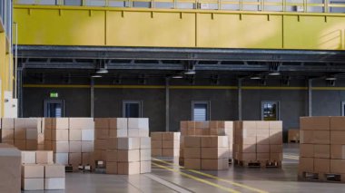 Karton kutular büyük, modern bir depoda paletler üzerinde hareket ediyor. Verimli lojistik ve dağıtım sergiliyorlar.