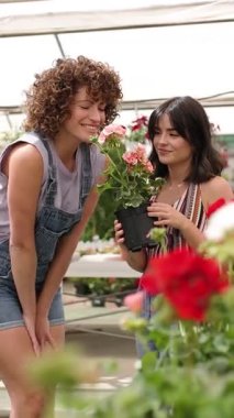 Seradaki kadın işçiler çiçek açan çiçekleri inceliyor, doğal ışık yapraklarıyla kokulu çiçekleri paylaşıyorlar. Dikey