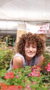 Kırmızı çiçeklerin arasında dikilen dişi bahçıvan, neşeli bir şekilde bitkileri kontrol ederken aynı zamanda tutkulu ve kendini adamış bir ifadeyle güneşli serada tulum giyiyor. Dikey