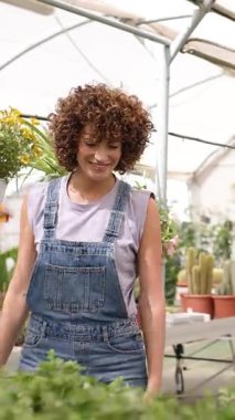 Profesyonel bahçıvan serada dikkatlice yürüyor, bitki gelişimini ve sağlığını titizlikle inceliyor ve inceliyor. Dikey