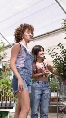 Bahçe merkezinin profesyonel rehberi, yeşillik bitkisini seçerken, küçük bahçıvanlık sahasında alışveriş deneyimi sırasında uzman tavsiyesi veriyor. Dikey