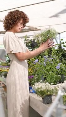 Çiçekleri serada düzenleyen, güneş ışığı altında çiçeklerle meşgul olan bir çiçekçi. Çiçek aranjmanı ve takdir sanatını yansıtan sakin bir sahne. Dikey