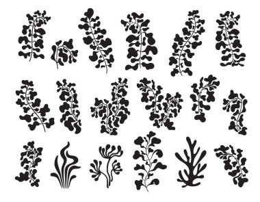 Dekoratif botanik elementler. Siyah renkli organik şekiller beyaz arkaplanda izole edilmiş. Çiçekli dalgalı tasarım seti. Moda vektör çizimi.