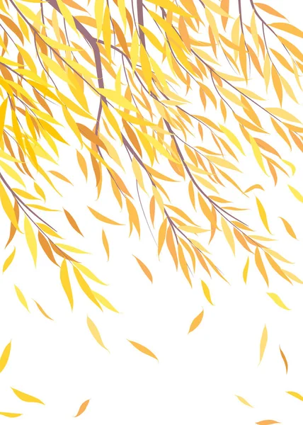 Ağlayan Söğüt Ağacı Dallarıyla Sonbahar Arkaplanı Rüzgarın Sarı Yapraklarla Düşüşü — Stok Vektör