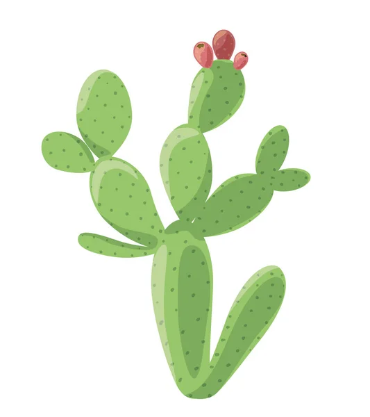 Kaktus Nopal Isolerad Vit Bakgrund Enkel Tecknad Vektor Illustration — Stock vektor