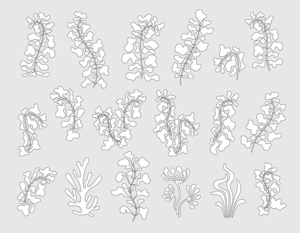 Dekorative Botanische Elemente Organische Abstrakte Formen Schwarzer Und Weißer Farbe — Stockvektor