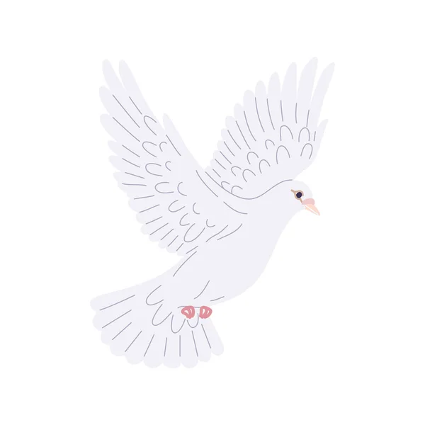 Flying White Pigeon Flat Style Isolated Blank Background Dove Bird — Stock Vector