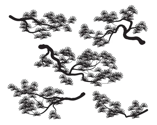 Черные Силуэты Сосновых Ветвей Изолированные Белом Набор Монохромных Хвойных Частей — стоковый вектор