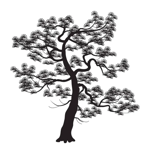 Black Silhouette Old Japanese Pine Tree Isolated White Background Monochrome — Stock Vector