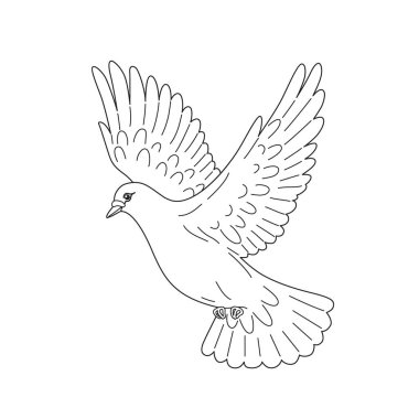 Uçan beyaz güvercin izole edildi. Ana hatlarıyla uçan güvercin kuşu. Basit tek renkli vektör çizimi.