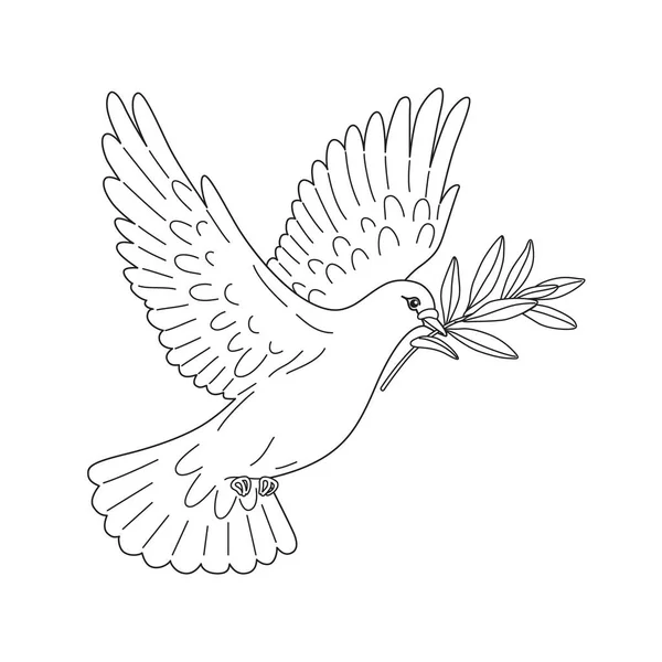Летящий Белый Голубь Изолирован Пустом Фоне Голубь Несет Оливковую Ветвь — стоковый вектор