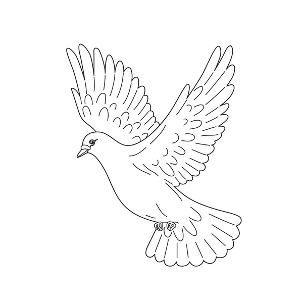 Uçan Beyaz Güvercin Izole Edildi Ana Hatlarıyla Uçan Güvercin Kuşu — Stok Vektör