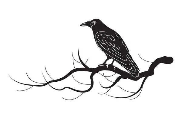 Простая Черная Ворона Выделена Белом Фоне Ворон Сидит Ветке Дерева — стоковый вектор