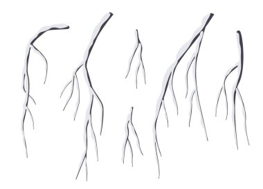 Beyaz arka planda izole edilmiş ağlayan söğüt ağacı dalları. Yapraksız kış bitkisi. Soğuk mevsimde karlı ve donmuş yaprak döken bir ağaç. Basit vektör düz resimleme.