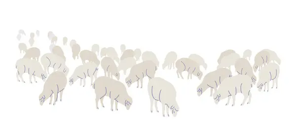 Фермерские Овцы Изолированы Белом Фоне Стая Выпаса Овец Простая Векторная — стоковый вектор