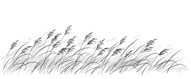 Yabani tahıl ve otlarla çizilmiş alan çizimi