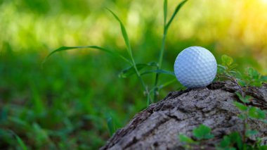 Çalılıklardaki pis golf topunu kapat. Engebeli bir golf topunun makrosu (çimenliğe bitişik uzun otlar)). 