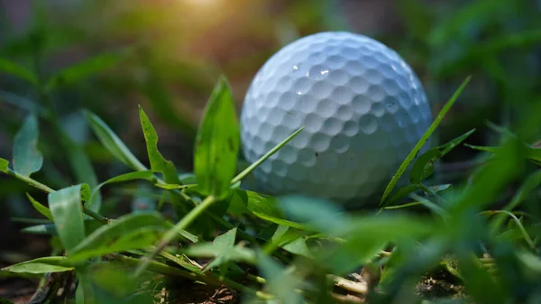 Close Dirty Golf Ball Bush Macro Golf Ball Rough Long — Stock Photo, Image