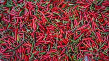 Kırmızı biber desenli arka plan. Acı kırmızı biberlerin arka plan manzarasını kapatın. Yol kenarı sebze pazarı kırmızı biber grubu.                                