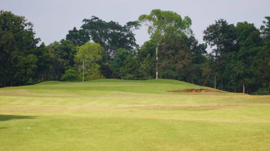 Güneşli bir günde güzel bir golf sahası. Arka plandaki golf sahasında güneş ışığı parlıyor. Kırsaldaki golf sahasında..                               