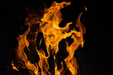 Siyah arka planda izole edilmiş yanan alev ya da yangın. Termal enerji yığını yakın plan, kırmızı ve sarı, ısı enerjisi gece boyunca yakıt, siyah zemin üzerinde ışık                                