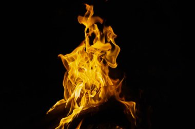 Siyah arka planda izole edilmiş yanan alev ya da yangın. Termal enerji yığını yakın plan, kırmızı ve sarı, ısı enerjisi gece boyunca yakıt, siyah zemin üzerinde ışık                                