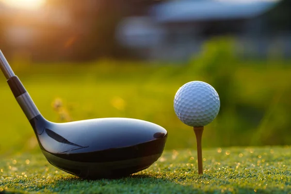 Golf sopaları ve golf topları yeşil çimlerde Sabah güneşli güzel bir golf sahasında.                                 