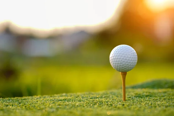 Golf topu golf sahasında güneş ışığıyla birlikte..                                