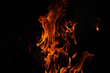Siyah arka planda izole edilmiş yanan alev ya da yangın. Termal enerji yığını yakın plan, kırmızı ve sarı, ısı enerjisi gece boyunca yakıt, siyah zemin üzerinde ışık.                              