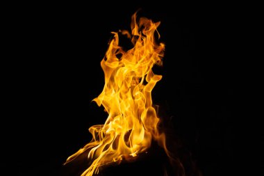 Siyah arka planda izole edilmiş yanan alev ya da yangın. Termal enerji yığını yakın plan, kırmızı ve sarı, ısı enerjisi gece boyunca yakıt, siyah zemin üzerinde ışık.                               