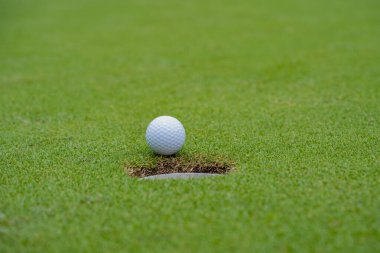 Golf sahasında golf sopalarıyla golf topları ilk kısa devre için hazır. Sabah, güzel güneş ışığıyla..