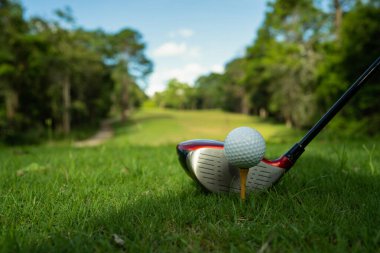 Golf sahasında golf sopalarıyla golf topları ilk kısa devre için hazır. Sabah, güzel güneş ışığıyla..