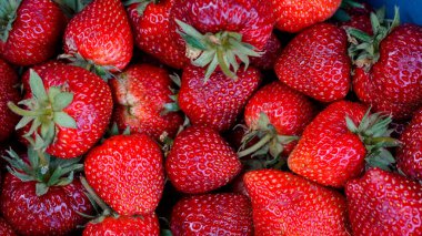 Fresh Strawberry Background, Perfect strawberries, ripe, fresh - food frame, background from freshly harvested strawberries, directly above                                