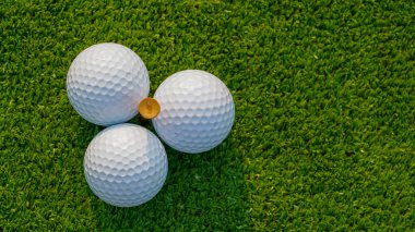 Green grass with golf ball closeup in soft focus when sunlight Playground for golf course concept , Wide landscape as background for your character about playing golf.                               