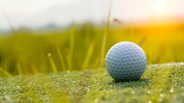 Green Grass Golf Ball Closeup Soft Focus Sunlight Playground Golf — Φωτογραφία Αρχείου