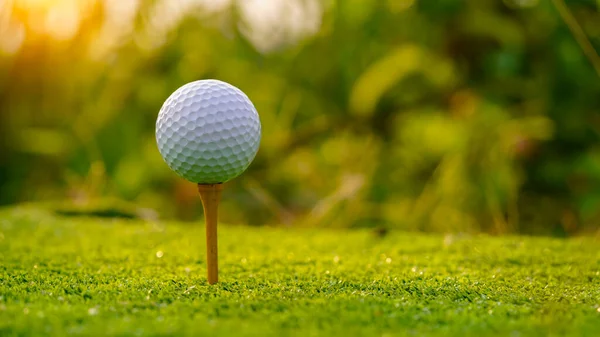 Bola Golfe Está Tee Rosa Fundo Grama Verde Bola Golfe — Fotografia de Stock