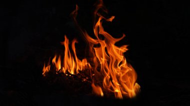 Geceleri odun yakmak, doğal ormandaki yangın, arka planda alevler ve kıvılcımlar, yakıt, enerji ve enerji. Termal enerji depolarına yakın çekim, kırmızı ve sarı, gece boyunca termal enerji yakıtları, siyah arka planda yangın.                   