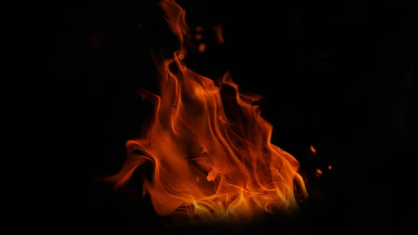 夜晚燃烧的木头天然林中的火 在黑暗的背景下燃烧和闪耀燃料 能量和能量 热能量堆的特写 红色和黄色 夜间热能量照明燃料 黑色底火 — 图库照片