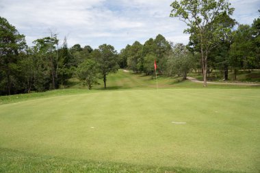 Golf sahasında yeşil çimenler ve ağaçlar. Golf sahasında yeşil çimenler ve ağaçlar. Golf sahasının manzarası ve güzel bir golf sahası. Zengin yeşil çimenlikli golf sahası. Güzel manzara.. 