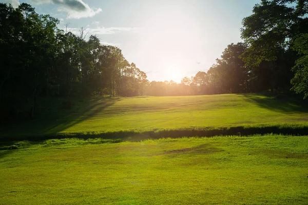 夕方のゴルフコースの背景には タイのゴルフコースで輝く太陽があります 夏の終わりの午後のゴルフコースの素晴らしい景色 — ストック写真